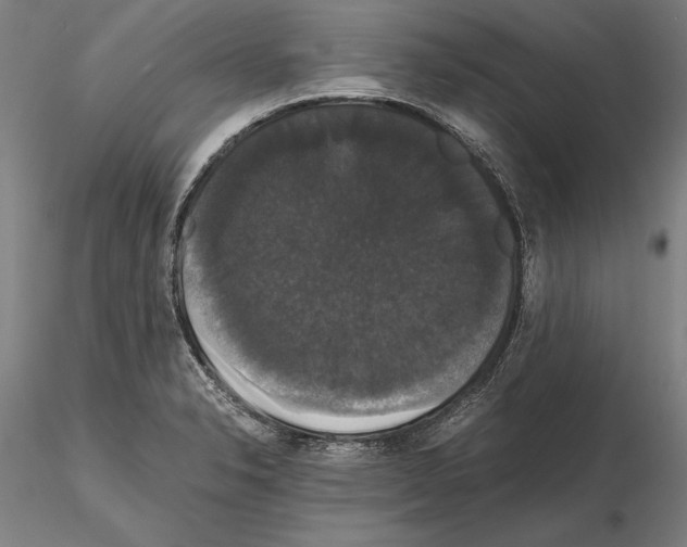 X0000114641326200912011040