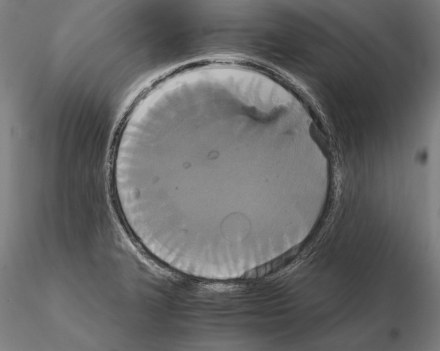 X0000114641327200912011040