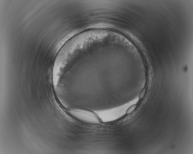 X0000114641329200912011040