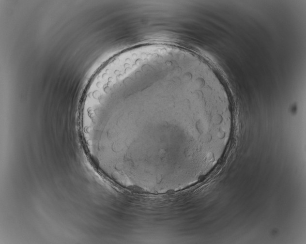 X0000114641331200912011040