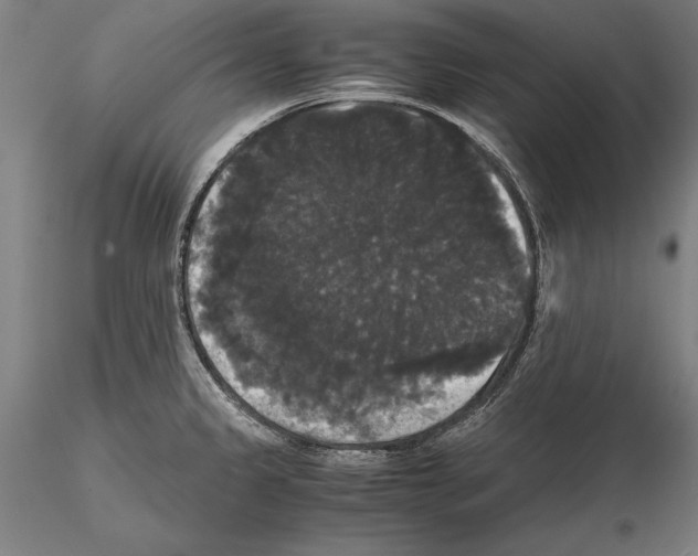 X0000114641333200912011040