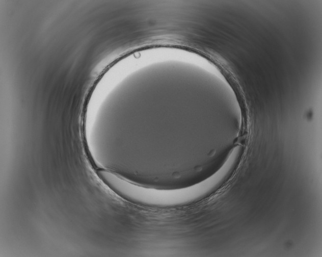 X0000114641334200912011040