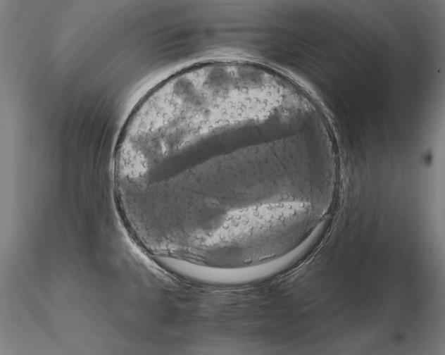 X0000114641335200912011040