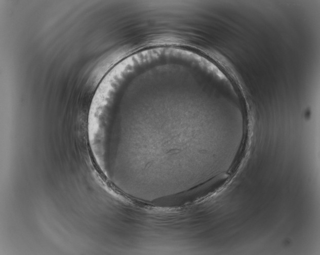 X0000114641337200912011040