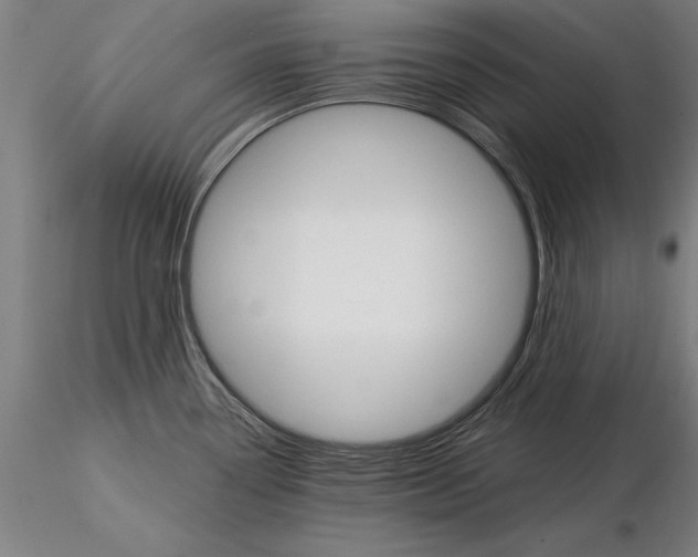 X0000114641338200912011040