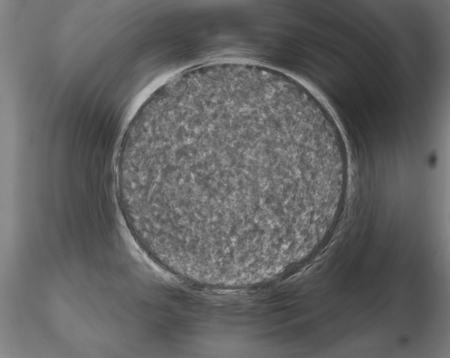 X0000114641341200912011040