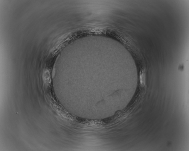 X0000114641347200912011039