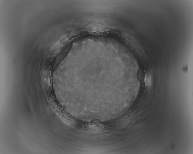 X0000114641348200912011039