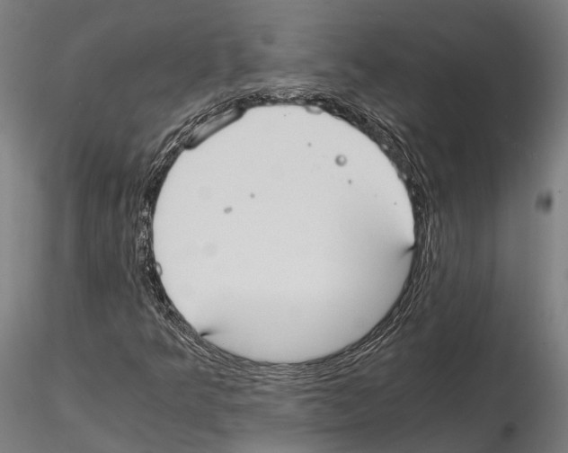 X0000114641349200912011039