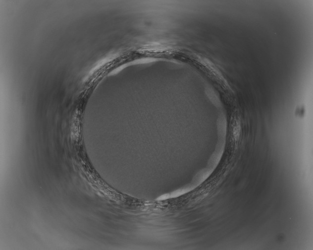 X0000114641350200912011039