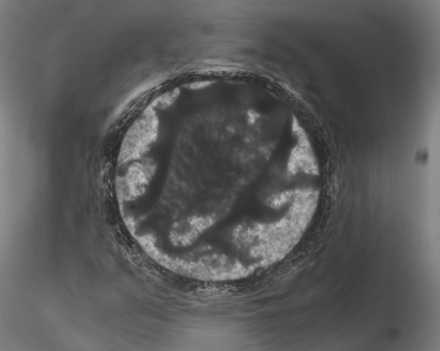 X0000114641351200912011039