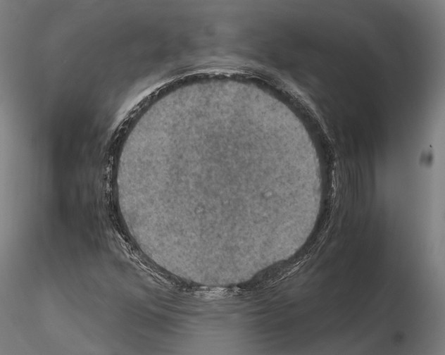 X0000114641352200912011039