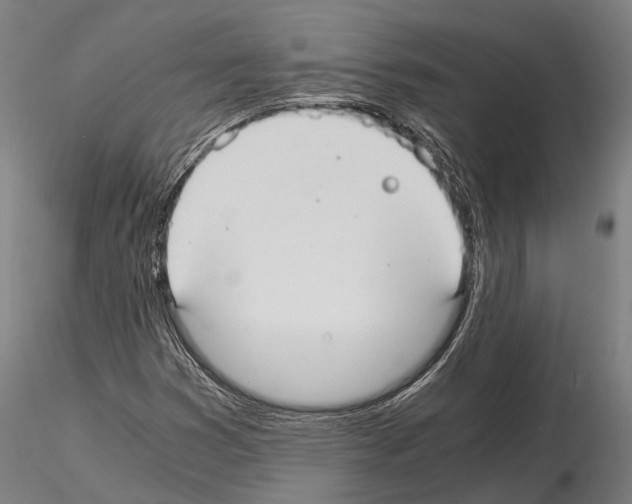 X0000114641353200912011039