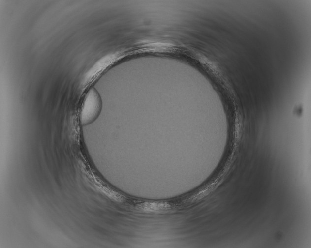 X0000114641354200912011039