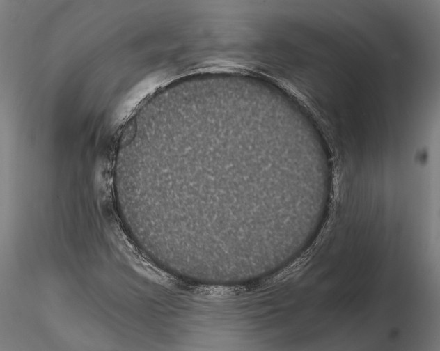 X0000114641355200912011039