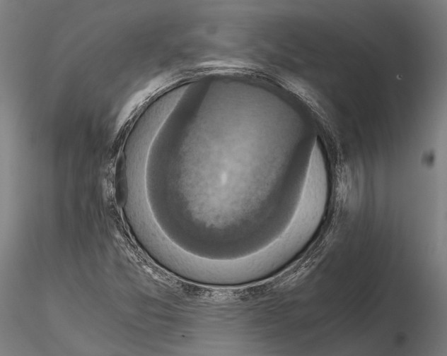 X0000114641357200912011039