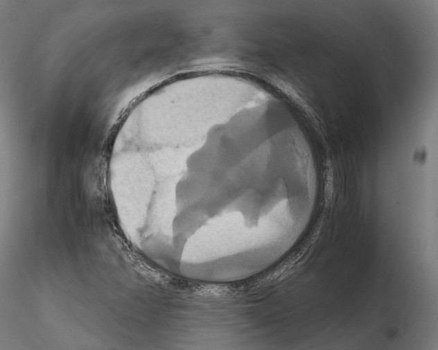 X0000114641358200912011039