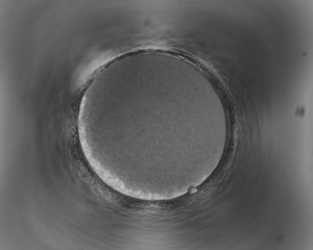 X0000114641359200912011039