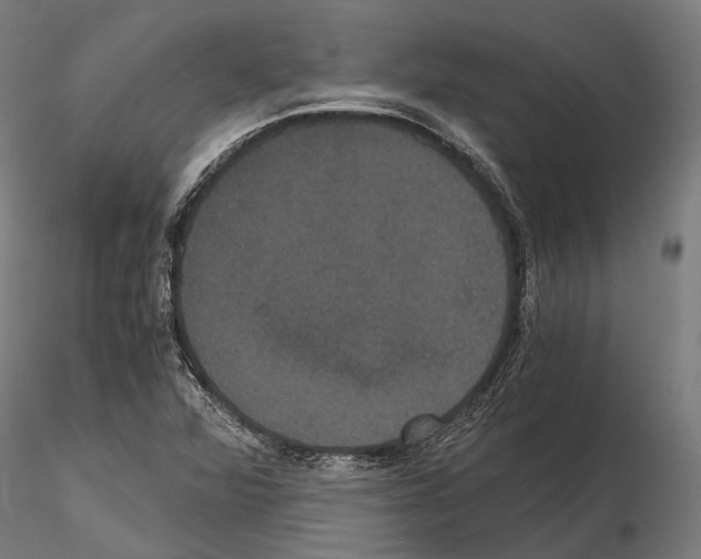 X0000114641360200912011039