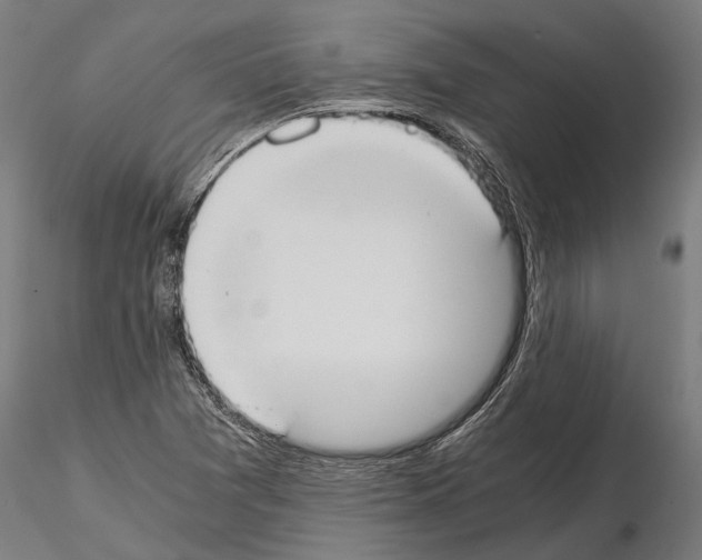 X0000114641361200912011039