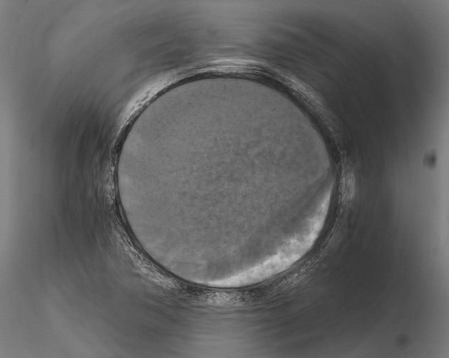 X0000114641362200912011039