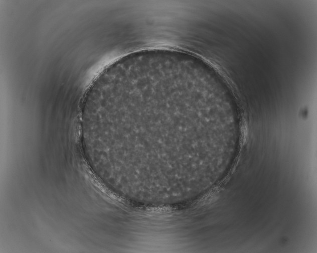 X0000114641363200912011039