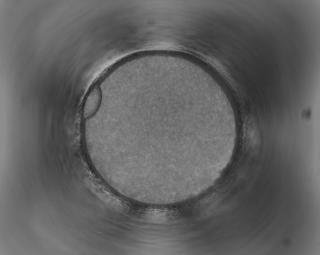 X0000114641364200912011039