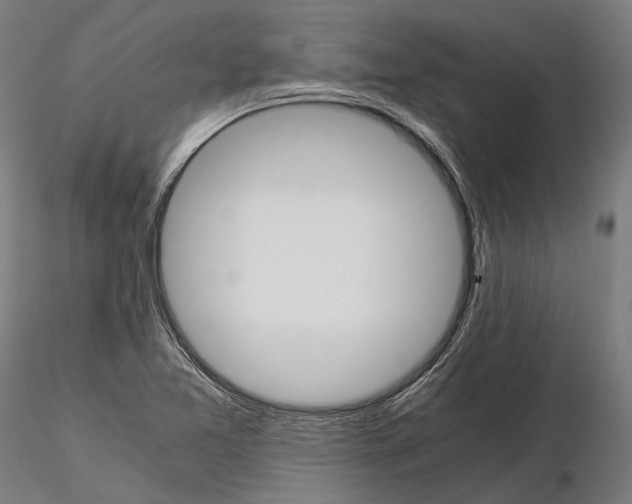 X0000114641365200912011039