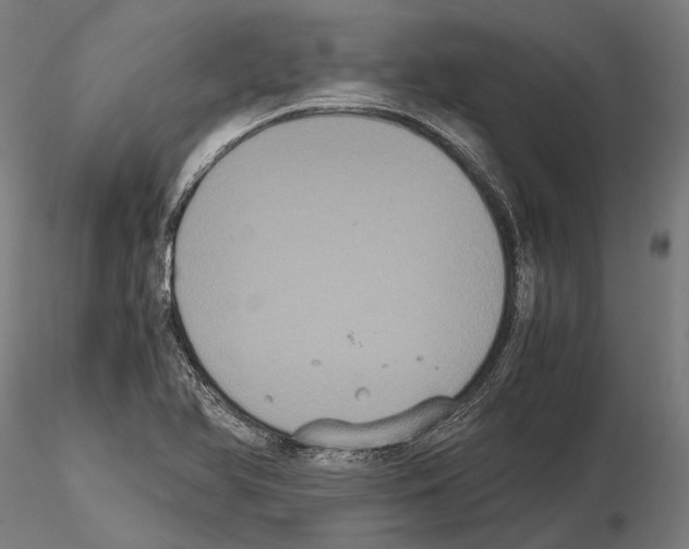 X0000114641366200912011039