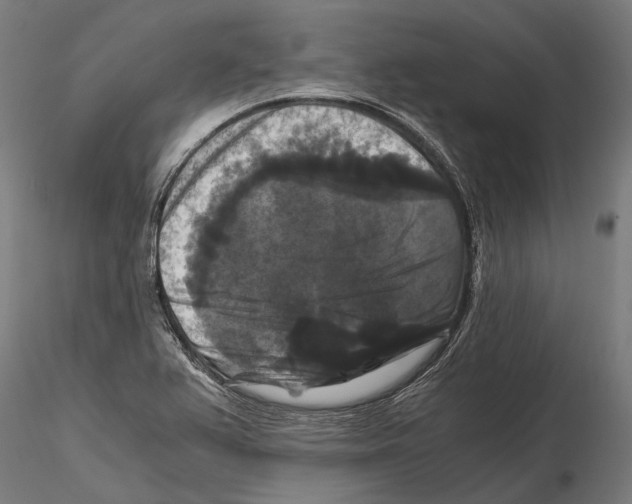 X0000114641367200912011039