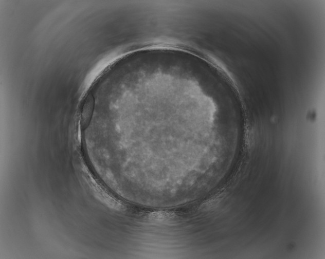 X0000114641368200912011039