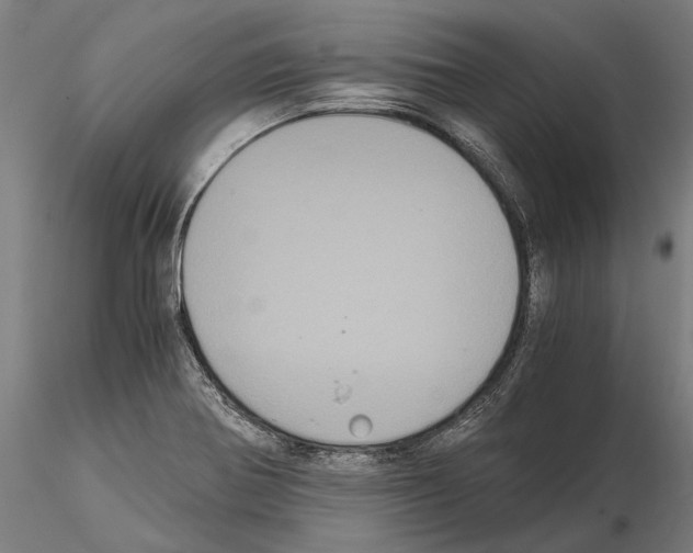 X0000114641370200912011039