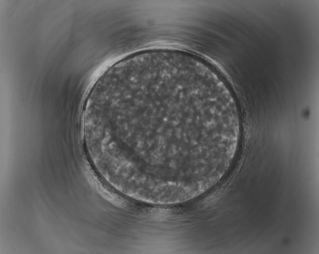 X0000114641371200912011039