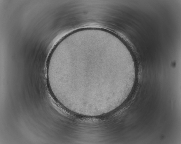 X0000114641372200912011039