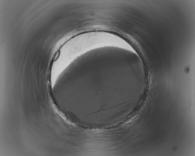 X0000114641373200912011039