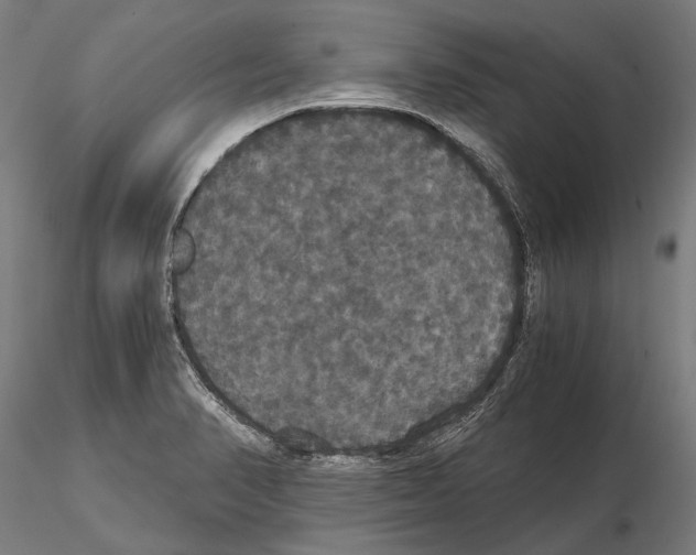 X0000114641374200912011039