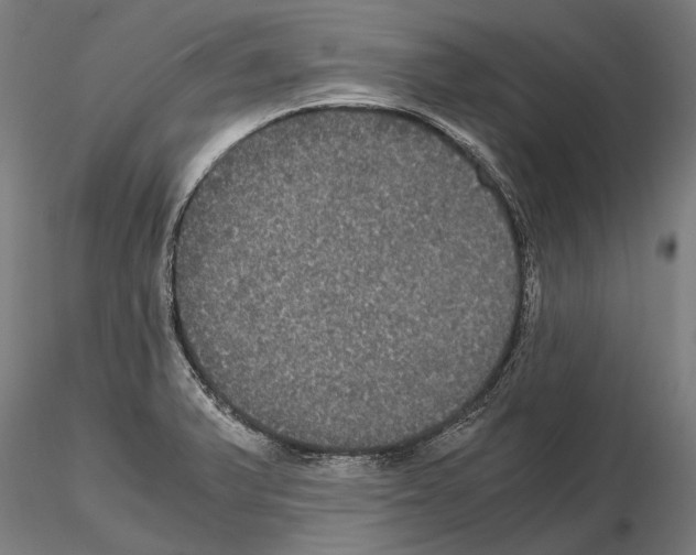 X0000114641375200912011039