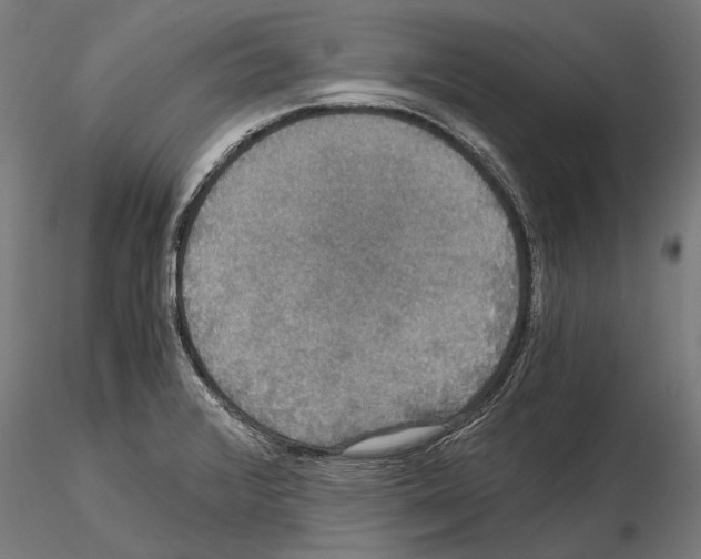 X0000114641376200912011039