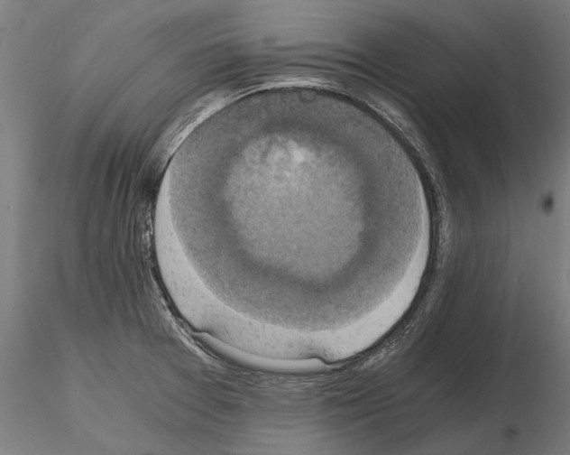 X0000114641377200912011039