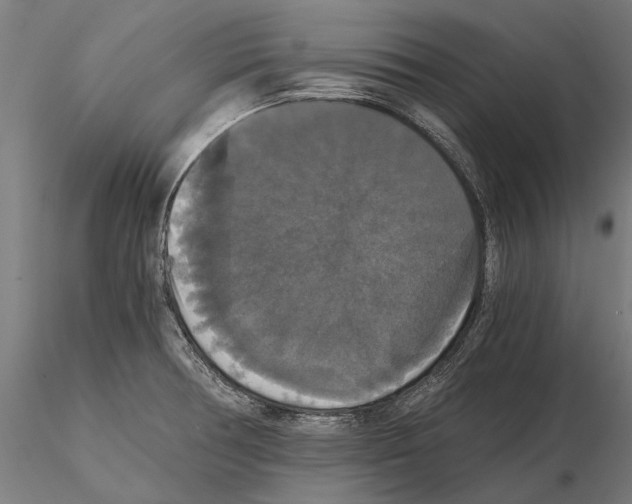 X0000114641378200912011039