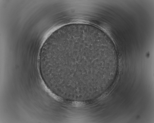 X0000114641379200912011039