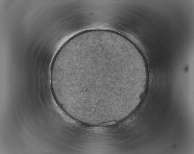 X0000114641380200912011039