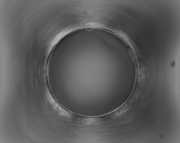 X0000114641381200912011039