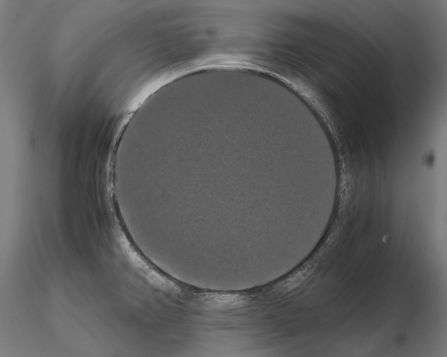 X0000114641382200912011039