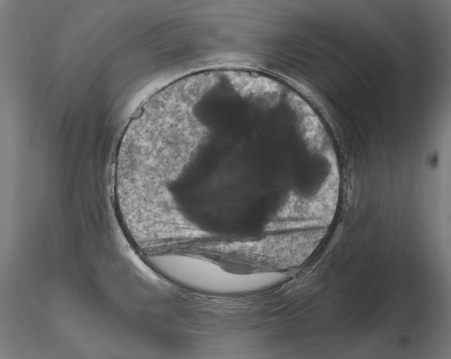 X0000114641383200912011039