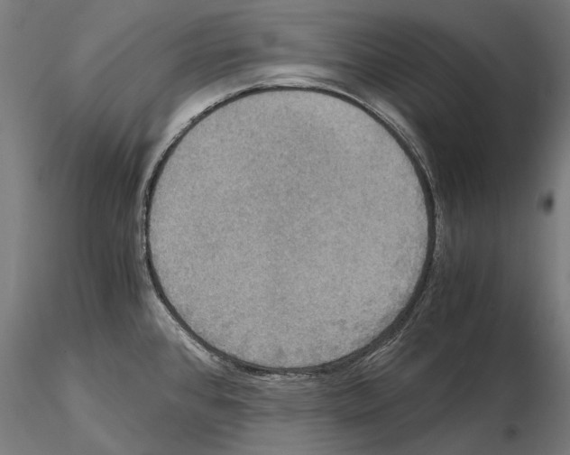 X0000114641384200912011038