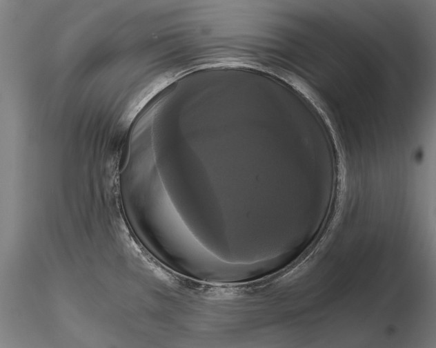 X0000114641385200912011038