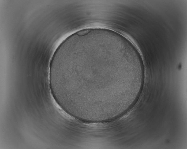 X0000114641388200912011038