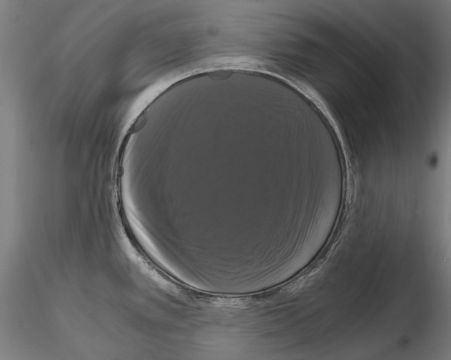 X0000114641389200912011038