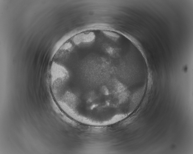 X0000114641390200912011038